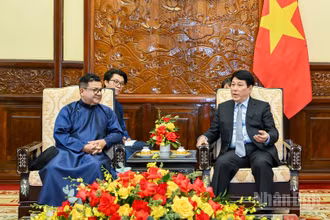 Chủ tịch nước Lương Cường tiếp Đại sứ Chile tại Việt Nam Sergio Narea Guzman.