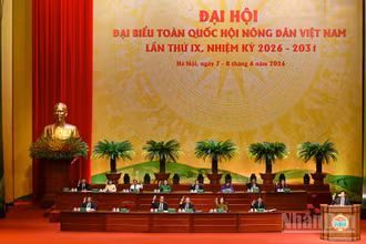 Đoàn Chủ tịch điều hành Đại hội đại biểu toàn quốc Hội Nông dân Việt Nam lần thứ IX.