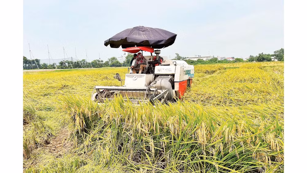 Cơ giới hóa được ứng dụng vào hầu hết các khâu trong sản xuất nông nghiệp. 
