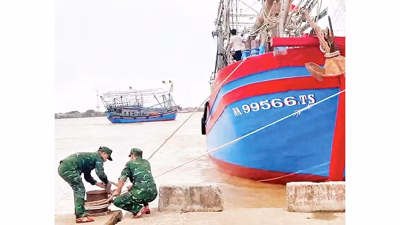 Chiến sĩ Đồn Biên phòng Roòn giúp ngư dân neo buộc tàu cá tránh trú bão số 12. 