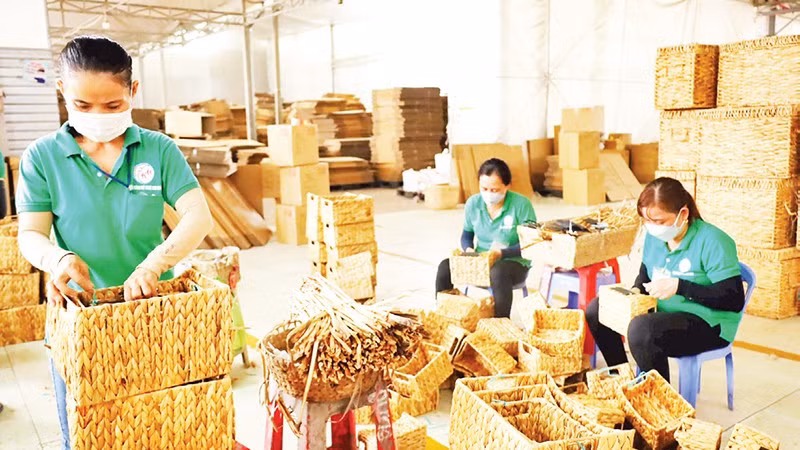 Sản phẩm từ lục bình của Hợp tác xã Kim Hưng, Cần Thơ giúp nhiều lao động nữ có việc làm. 