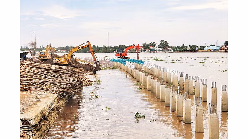 Nhà thầu đang thi công kè chống sạt lở bờ sông Cổ Chiên tại phường Long Châu, tỉnh Vĩnh Long. 