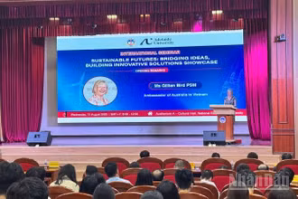 Tọa đàm thu hút đại biểu là các chuyên gia trong nước và quốc tế tham dự. (Ảnh: HNV).