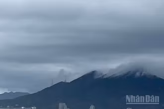 Dự báo khu vực Bắc Bộ có mưa rào và dông. (Ảnh minh họa: Đ.T)