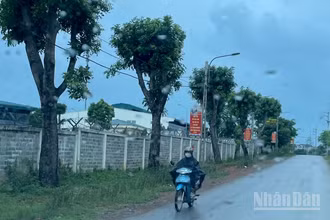 Dự báo khu vực Bắc Bộ có mưa lớn cục bộ. (Ảnh minh họa: Đ.T)