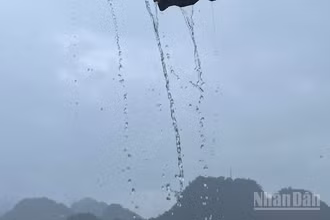 Lào Cai và Tuyên Quang có mưa rào, có nơi trên 80mm. (Ảnh minh họa: Đ.T)