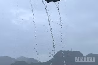 Dự báo khu vực vùng núi Bắc Bộ có mưa rào và dông rải rác, cục bộ có nơi mưa to. (Ảnh minh họa: Đ.T)
