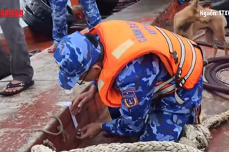 [Video] Bắt giữ tàu vận chuyển trái phép 50.000 lít dầu trên vùng biển Tây Nam