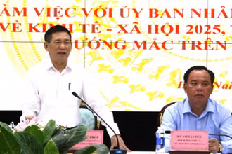 Phó Thủ tướng Chính phủ Hồ Đức Phớc phát biểu tại buổi làm việc.