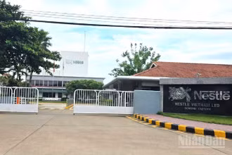 Công ty trách nhiệm hữu hạn Nestlé Việt Nam, khu công nghiệp Biên Hòa 2, tỉnh Đồng Nai.