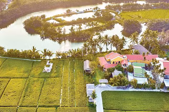 Đồng lúa xanh rì, nơi anh Thanh cùng bà con nông dân tạo nên trải nghiệm độc đáo cho thực khách. (Ảnh: NVCC)