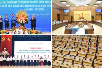 Tin nổi bật ngày 26/3: Thủ tướng Phạm Minh Chính gặp mặt các gương mặt trẻ Việt Nam tiêu biểu; Tổng kết công tác bầu cử đại biểu Quốc hội khóa XVI và đại biểu Hội đồng nhân dân các cấp tại các địa phương