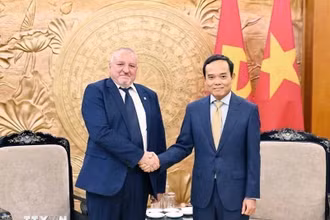 Bí thư Trung ương Đảng, Trưởng Ban Chính sách, Chiến lược Trung ương Trần Lưu Quang tiếp Chủ tịch Đảng Xã hội Hungary Imre Komjáthi. (Ảnh: Minh Đức/TTXVN)
