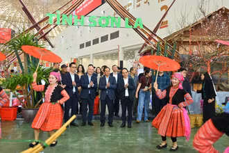 Phó Thủ tướng Bùi Thanh Sơn trải nghiệm không gian Hội chợ Mùa Xuân.