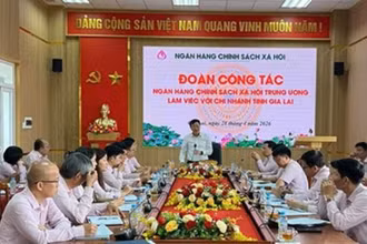Tổng Giám đốc Ngân hàng Chính sách xã hội Dương Quyết Thắng làm việc tại chi nhánh Ngân hàng Chính sách xã hội tỉnh Gia Lai.