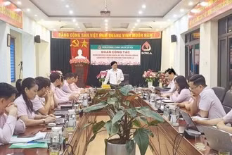 Quang cảnh buổi làm việc.