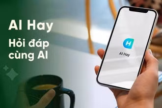 Theo khảo sát của Decision Lab, ứng dụng AI Hay của Việt Nam đứng thứ 6/11 nền tảng AI phổ biến với người dùng Việt, xếp ở vị trí thứ 2 về mức độ hài lòng khi sử dụng, chỉ sau ChatGPT.
