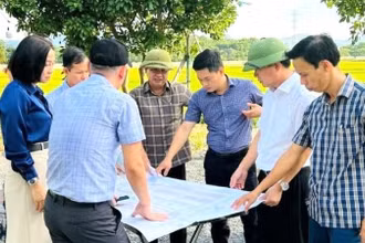 Lãnh đạo Đảng ủy, Ủy ban nhân dân phường Đồng Sơn, tỉnh Quảng Trị kiểm tra thực địa khu vực quy hoạch khu tái định cư Dự án đường sắt tốc độ cao.