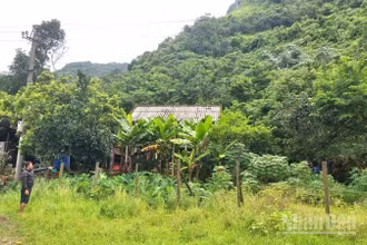 Một số hộ dân sống ngay dưới chân núi Cây Sú ở xã Trường Sơn luôn thấp thỏm sợ đá rơi xuống.