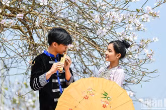 Ảnh minh họa: THÀNH ĐẠT