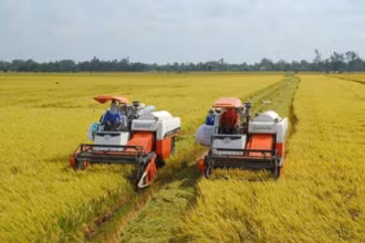 Cơ giới hoá đồng bộ trong sản xuất lúa tại huyện Yên Khánh. (Ảnh: Yến Trinh)