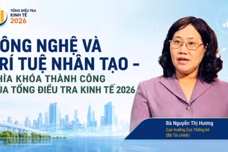 Bà Nguyễn Thị Hương, Cục trưởng Cục Thống kê, Bộ Tài chính nhấn mạnh về vai trò, vị trí của tổng điều tra kinh tế 2026. (Ảnh có sử dụng yếu tố AI)