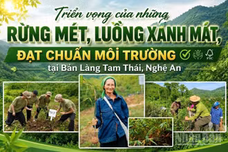 (Ảnh có yếu tố AI)