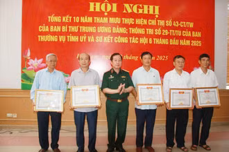Lãnh đạo Hội Nạn nhân chất độc da cam/dioxin Việt Nam trao Bằng khen cho các tập thể, cá nhân.