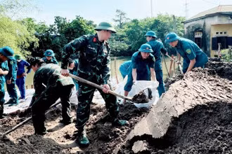 Lực lượng chức năng huyện Thanh Trì cũ khắc phục hậu quả siêu Bão số 3 năm 2024.