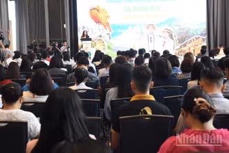 Đà Nẵng công bố 5 chương trình đặc biệt kích cầu du lịch 5 tháng cuối năm 2025. (Ảnh: ANH ĐÀO)