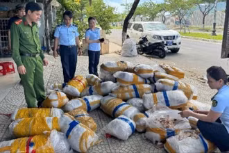 Đoàn kiểm tra tạm giữ lô hàng mực khô có dấu hiệu mốc, bốc mùi. (Ảnh: Chi cục Quản lý thị trường Đà Nẵng)
