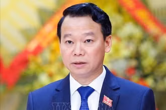 Ông Đỗ Đức Duy. (Ảnh: TTXVN)