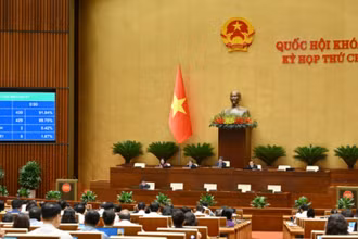 Quốc hội thống nhất bỏ hình phạt tử hình ở 8 tội danh
