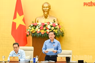 Phó Chủ tịch Quốc hội Nguyễn Khắc Định điều hành nội dung thảo luận sáng 3/6. (Ảnh: DUY LINH)