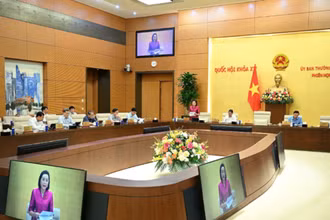 Hướng dẫn về tổ chức, hoạt động của Đoàn đại biểu Quốc hội, Hội đồng nhân dân cấp tỉnh, cấp xã sau sắp xếp