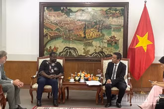 Thứ trưởng Văn hóa, Thể thao và Du lịch Hoàng Đạo Cương tiếp Đoàn chuyên gia Chương trình Ký ức thế giới của UNESCO. 