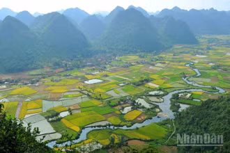 Ngành văn hóa quyết tâm thúc đẩy du lịch thành ngành kinh tế mũi nhọn. 