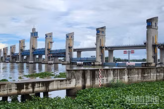Cụm cống Cái Lớn, Cái Bé, Xẻo Rô được vận hành linh hoạt với tình hình thủy văn bất lợi gây ra.