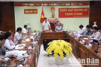 Quyền chủ tịch Ủy ban nhân dân tỉnh Đắk Lắk Nguyễn Thiên Văn phát biểu tại phiên họp thường kỳ tháng 5/2025.