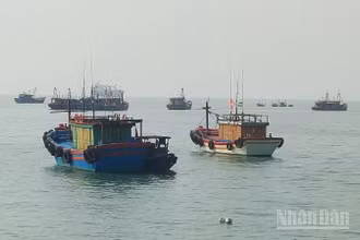 Dự án xây dựng khu neo đậu tàu thuyền cho ngư dân tạo điều kiện để sắp xếp lại vị trí neo đậu tàu thuyền phục vụ các dự án kinh tế lớn ở Khu Kinh tế Hòn La (Trong ảnh: Tàu thuyền neo đậu trên vịnh Hòn La).