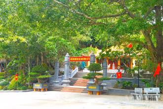 Phút tĩnh lặng ở Di tích quốc gia đặc biệt hang Tám Cô-đường 20 Quyết thắng. (Ảnh chụp cuối tháng 7/2026)