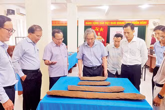 Bộ đàn đá cổ được phát hiện trong đợt khai quật vừa qua.