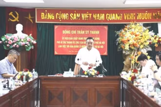 Chủ tịch Ủy ban nhân dân thành phố Trần Sỹ Thanh phát biểu kết luận buổi làm việc.