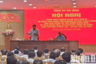 Chủ tịch Ủy ban nhân dân tỉnh Cà Mau Phạm Thành Ngại (đứng trên) phát biểu tại hội nghị chiều 16/6.