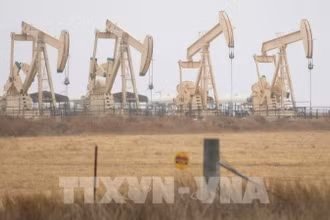 Thị trường dầu thế giới ngóng chờ kết quả cuộc họp của OPEC+. (Ảnh: THX/TTXVN)