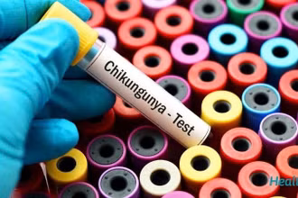 Đợt bùng phát virus Chikungunya đã bắt đầu từ đầu năm nay.