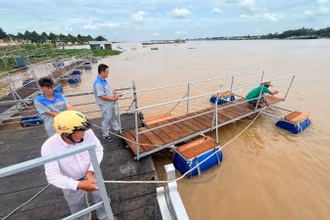 Làm các cầu phao bao quanh khu vực bến sông đình vừa bảo vệ cá, vừa làm lối đi cho khách tham quan tại tỉnh Đồng Tháp. (Ảnh: HỮU NGHĨA)