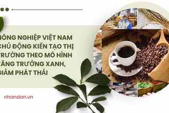 Nông nghiệp Việt Nam hướng tới xanh, số và bền vững. (Ảnh: HNV)