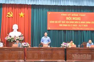Lãnh đạo tỉnh Đồng Tháp phát biểu tại hội nghị.