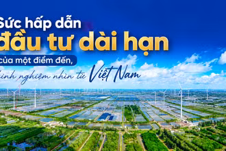 (Ảnh có yếu tố AI).